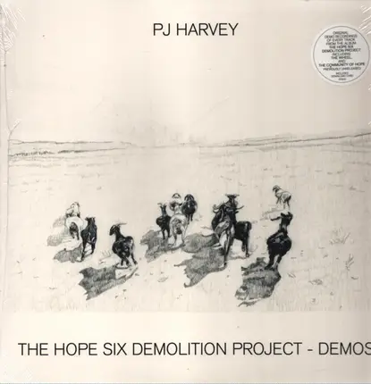 P.J. Harvey - Hope Six Demolition Project