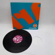 12inch Vinyl Single - P.P. Orange - My Feelings
