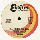 12inch Vinyl Single - Pamala Stanley - Walking In The Rain (Yes You Saw Me)