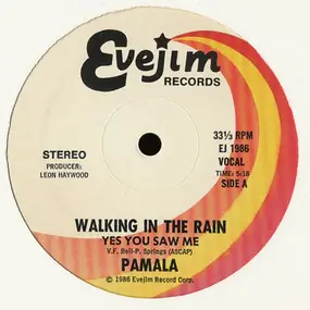 pamala stanley - Walking In The Rain (Yes You Saw Me)