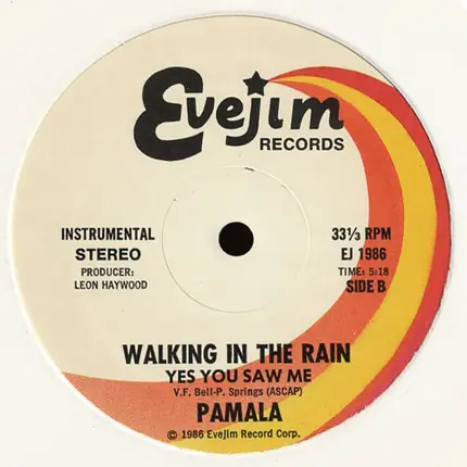 Pamala Stanley - Walking In The Rain (Yes You Saw Me)