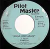 7inch Vinyl Single - Pamela - Going Home Again