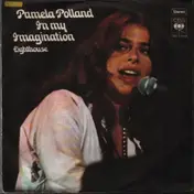 Pamela Polland - In My Imagination