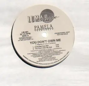 pamela fernandez - You Don't Own Me