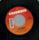7inch Vinyl Single - Pan - Lady Honey / Long Way Home - promo