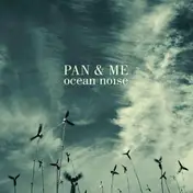 Pan - Ocean Noise