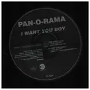 12inch Vinyl Single - Pan-O-Rama - I Want You Boy