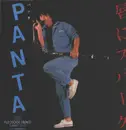 LP - Panta - 唇にスパーク - +OBI, insert