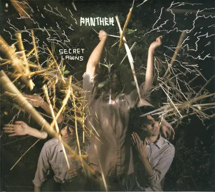 Panther - Secret Lawns