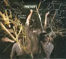 CD & DVD - Panther - Secret Lawns