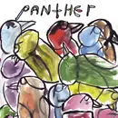 12inch Vinyl Single - Panther - The Birds