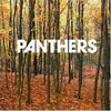 Double LP - Panthers - Things Are Strange