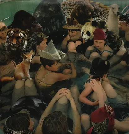 Panda Bear - Person Pitch