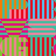 Double LP - Panda Bear - Panda Bear Meets The Grim Reaper (LP+MP3 - GATEFOLD 2LP 180 GRAM
