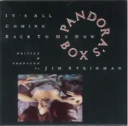 7inch Vinyl Single - Pandora's Box - It's All Coming Back To Me Now