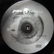 12'' - Pan-O-Rama - I Want You Boy