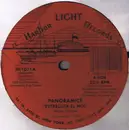 12inch Vinyl Single - Panoramics - Estrellita El Mix