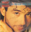 12inch Vinyl Single - Paolo Vallesi - La Forza Della Vita