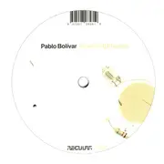 12inch Vinyl Single - Pablo Bolivar - Simulated Physics