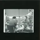 12inch Vinyl Single - Pablo Mateo - Dekalog - EP