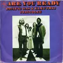7inch Vinyl Single - Pacific Gas & Electric - Are You Ready