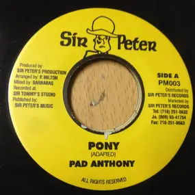 Pad Anthony - Pony