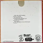 7inch Vinyl Single-Box - Paddelnohnekanu - Wir Streiten Aus Ästhetischen Gründen Nie - Dirty Gold & Lathe Cut Vinyl, Insert, Booklet