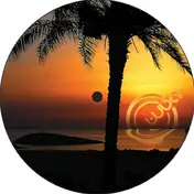 PADDO - Sunshinefeeling