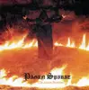 CD - Pagan Spirit - The Latent Doctrine