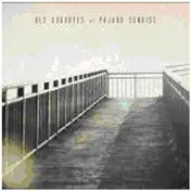 pajaro sunrise - Old Goodbyes
