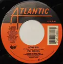 7inch Vinyl Single - Pal Rakes - We Did It Once