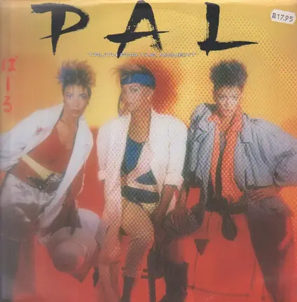 Pal - Truth for the Moment