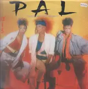 PAL - Truth for the Moment