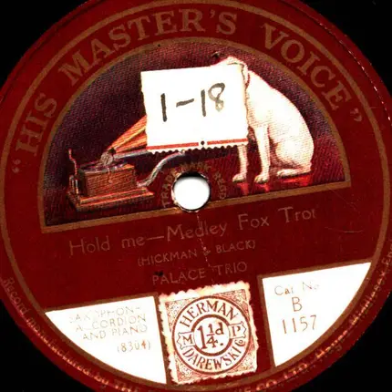 Palace Trio / Selvin's Novelty Orchestra - Hold Me / Wond'ring