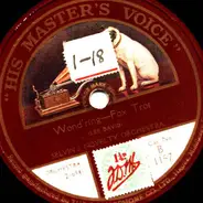 Palace Trio / Selvin's Novelty Orchestra - Hold Me / Wond'ring