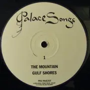 12inch Vinyl Single - Palace - Mountain