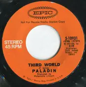 Paladin - Third World