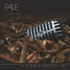 CD - Pale - In The Time Of Dangerous Men
