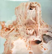 Pale Saints - In Ribbons