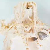 Pale Saints - In Ribbons (ltd. 30th Anniversary Deluxe 2 LP Unpi