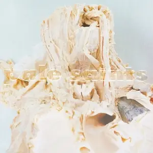 Pale Saints - In Ribbons (ltd. 30th Anniversary Deluxe 2 LP Unpi
