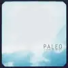 LP - Paleo - A View of the Sky - VIVID SCRAWLS OF A REMARKABLE MIND
