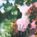 CD - Pale Saints - THE COMFORTS OF MADNESS