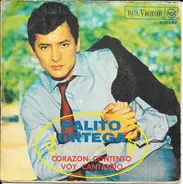 Palito Ortega - Corazon Contento / Voy Cantando