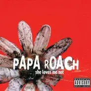 Papa Roach - She Loves Me Not