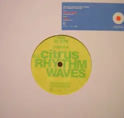 Papas Fritas / Citrus - Trattoria 7inch Split Single Series No. 3