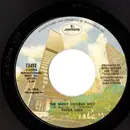 7inch Vinyl Single - Paper Lace - The Night Chicago Died / Can You Get It When You Want It