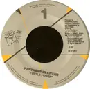 7inch Vinyl Single - Partners In Kryme - Turtle Power