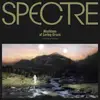 Double LP - Para One - Spectre: Machines Of Loving Grace (2lp)