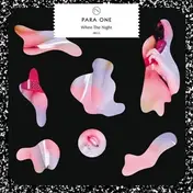 Para One - When The Night Remixes